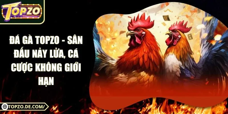 Đá Gà Topzo - Sân Đấu Nảy Lửa, Cá Cược Không Giới Hạn